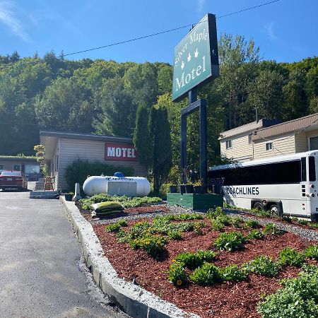 Silver Maple Motel Haliburton Ngoại thất bức ảnh